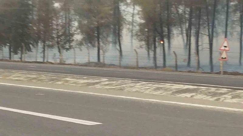 Şanlıurfa’da orman yangını: Alevlerin petrol istasyonuna sıçramaması için seferber oldular
