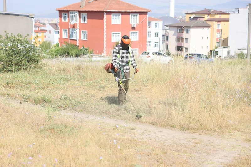 Boş arazilerdeki otlar biçiliyor
