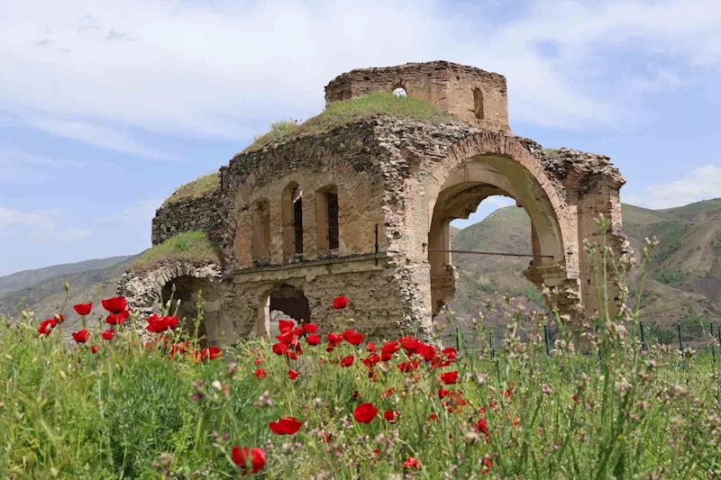 Palu’daki tarihi yapılar fotoğraf karelerine yansıdı
