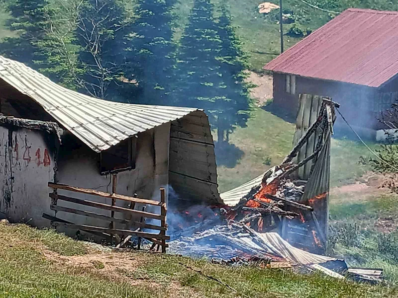 Yayla evi alev alev yandı
