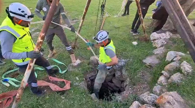 Eruh’ta kuyuya düşen dana kurtarıldı
