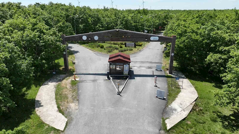 Doğaseverlerin yeni uğrak noktası: Esenyurt Belediyesi Danamandıra Tabiat Parkı
