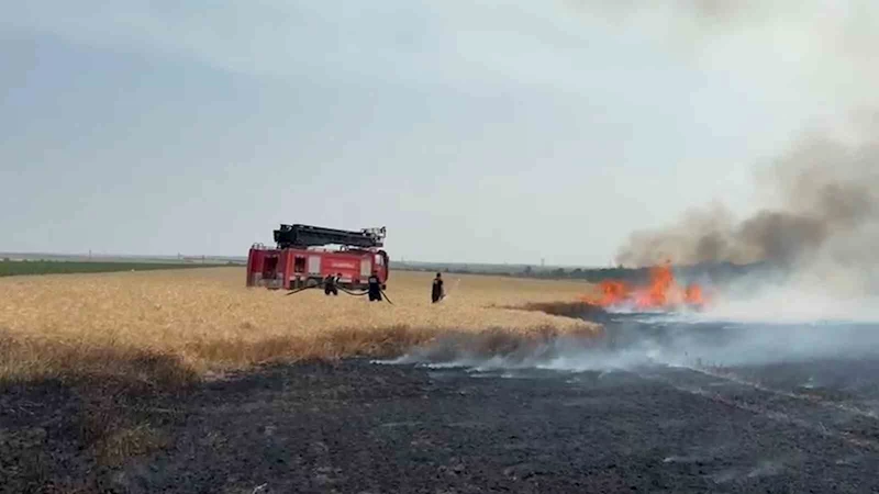 Kırklareli’nde buğday tarlalarında yangın: 500 dekar alan zarar gördü

