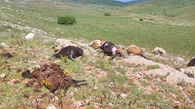 Gümüşhane’de yaylaya düşen yıldırım 18 koyunu telef etti
