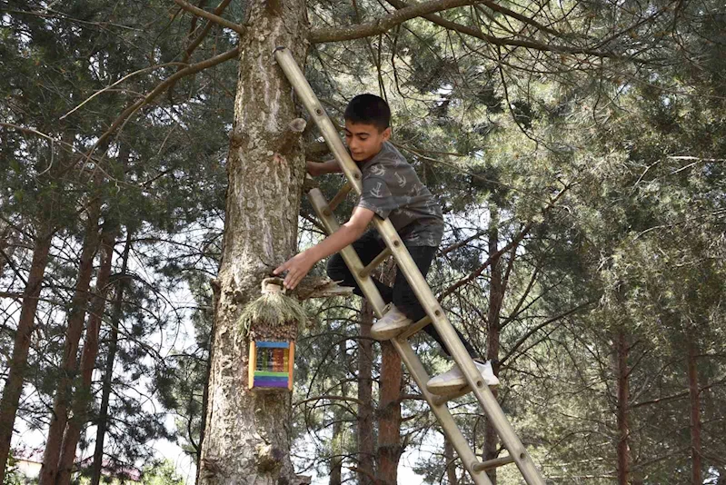 Öğrenciler atık su bidonlarından kuş yuvası yapıp millet bahçesine astı
