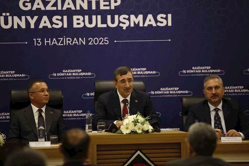 Cumhurbaşkanı Yardımcısı Yılmaz: 