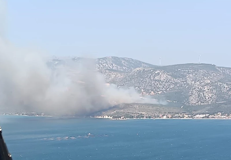 İzmir’de çıkan orman yangınına havadan ve karadan müdahale başladı
