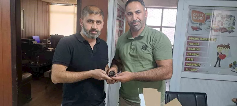 Yaralı halde bulunan ebabil kuşu doğa koruma ekiplerine teslim edildi
