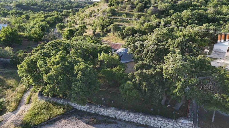Malatya’da 800 yıllık 