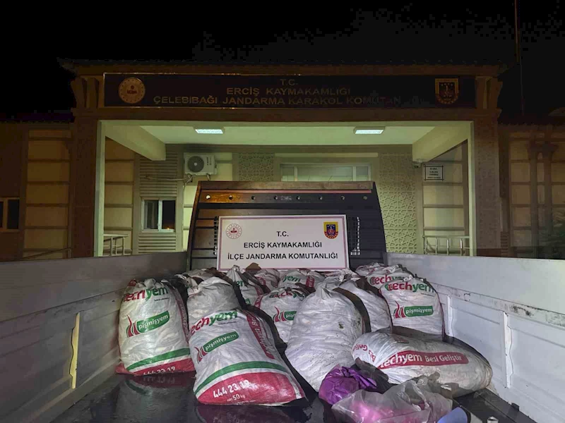 Van’da kaçak balık avlayan 16 kişiye 205 bin 360 lira idari para cezası uygulandı
