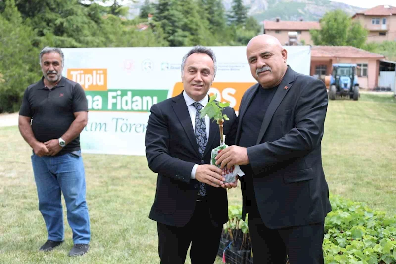 TOGÜ tüplü asma fidanlarını üreticiyle buluşturdu
