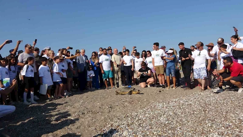 Antalya’da deniz kaplumbağaları çip takılarak denize uğurlandı
