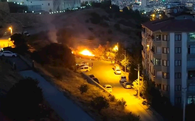 Elazığ’da ot yangını
