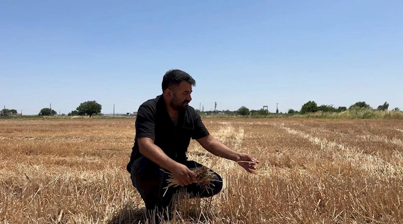 Uzmanlar ve çiftçiler anız yakmanın zararlarına dikkat çekti
