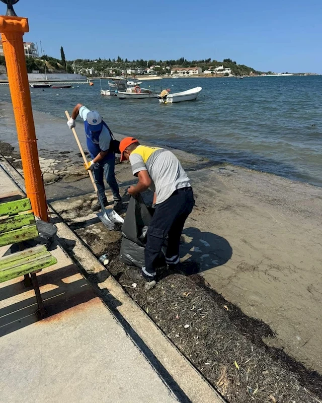 Didim Belediyesi Mavişehir Sahili’ni temizledi
