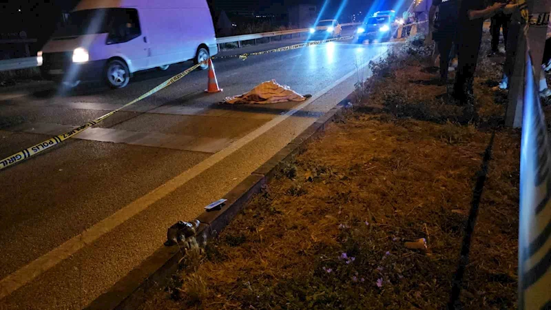 Otomobilin çarptığı yaşlı kadın hayatını kaybetti
