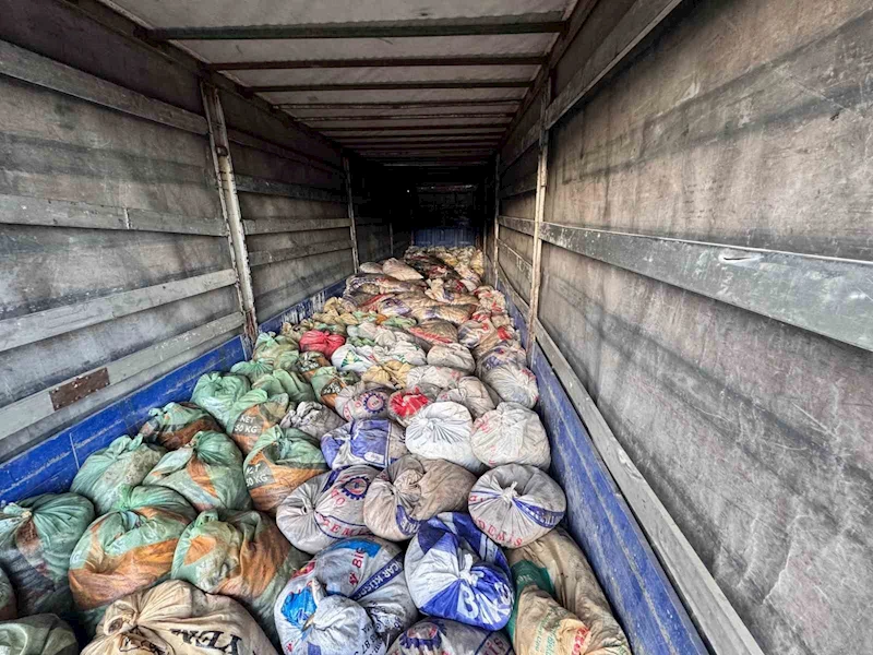 Van’da 22 ton 475 kilogram kaçak avlanmış balık ele geçirildi
