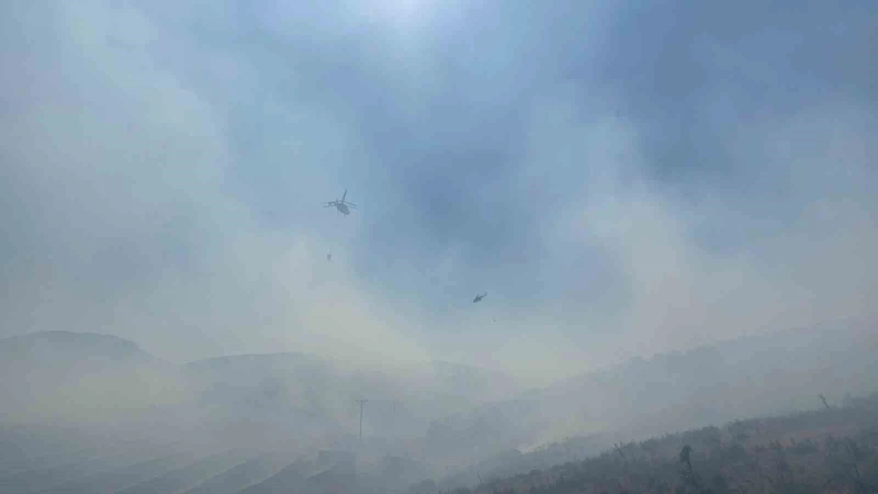 Manisa’da ormanlık alanda yangın: Havadan ve karadan müdahale başladı
