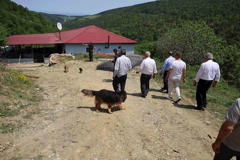 Bafra’da muhtarların tepkisini çeken izinsiz köpek barınağı mühürlenerek kapatıldı
