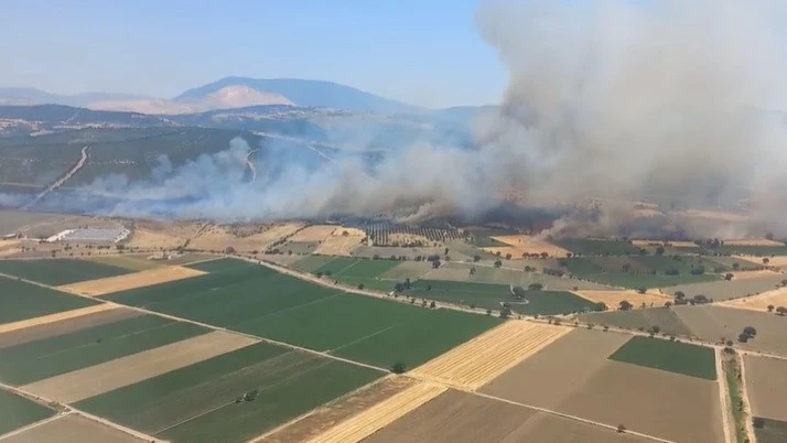 İzmir’de orman yangınına havadan ve karadan müdahale
