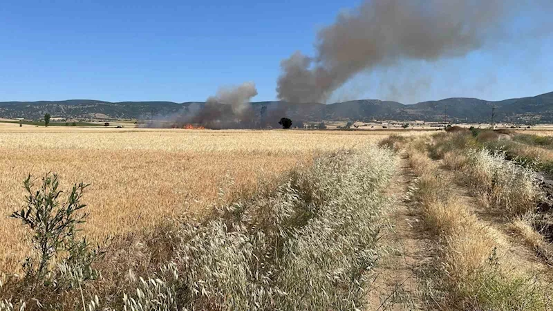 Yozgat’ta 20 dönüm ekili alan kül oldu
