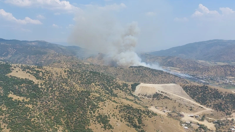 Aydın’da zirai alan yangını
