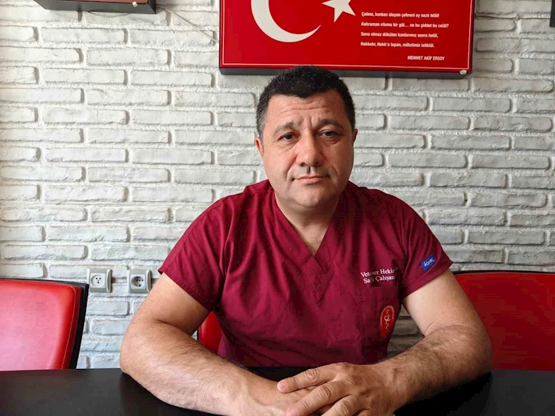 Sineklerle mücadele yönteminizi değiştirin
