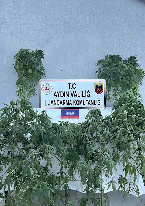 Jandarmada uyuşturucu operasyonu: 16 gözaltı
