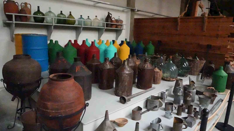 Anadolu zeytin kültürü dünyanın en büyük müzesinde yaşatılıyor
