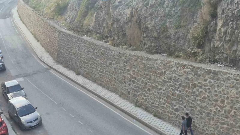 Gümüşhane dağlarının süsü yaban keçileri şehrin de süsü oldu
