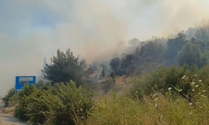 Söke’deki yangın ormana sıçradı
