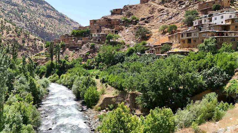 Bitlis’in saklı cenneti: Hacı Mehmet köyü doğaseverlerin yeni gözdesi oldu
