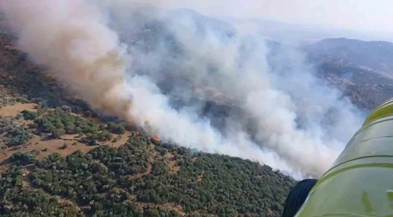 Söke’deki yangın kontrol altına alındı
