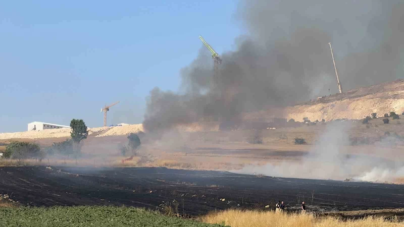 Arnavutköy Sazlıbosna’da tarım arazisinde yangın paniği
