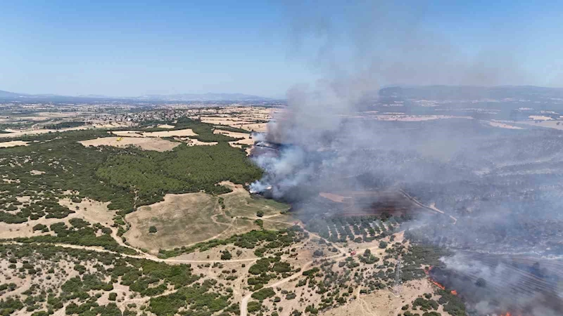 Çanakkale Valiliği: Yerleşim yerlerini tahliyeyi gerektirir bir risk bulunmamaktadır
