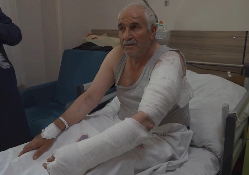 Ot biçen vatandaş kurdun saldırısına uğradı
