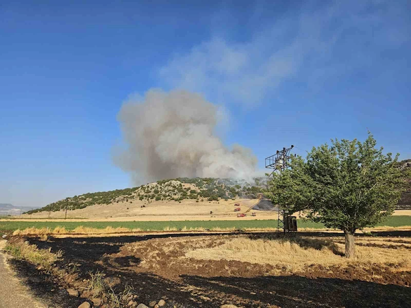 Gaziantep’te anız yakarken suçüstü yakalanan şahsa 47 bin TL ceza
