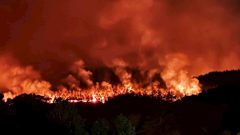 Sakarya’daki orman yangını havadan görüntülendi
