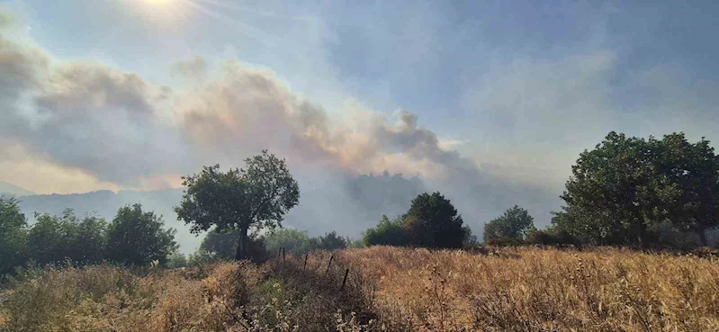 Kepsut’taki orman yangını köyü tehdit ediyor
