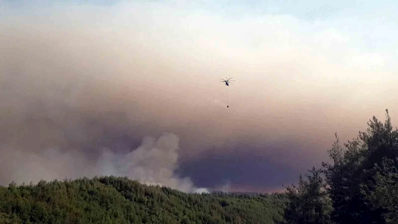 Sakarya’da ormanlık alanda çıkan yangına havadan ve karadan müdahale sürüyor
