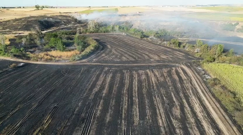 Tekirdağ’da çıkan yangında bin 500 dekarlık tarım arazisi zarar gördü
