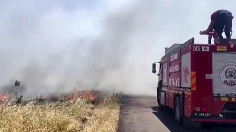 Anız yangını ormanlık alana sıçradı
