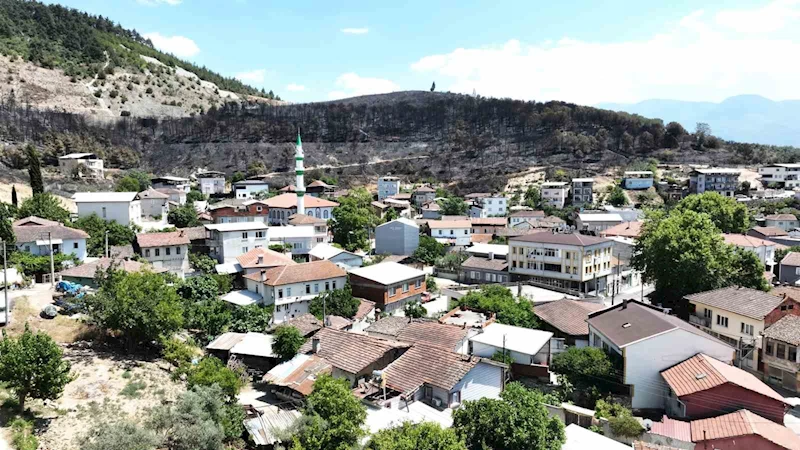 (Özel) Zümrüt yeşili orman manzaraları kömürlüğe döndü
