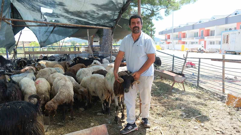 Kemer Belediyesi’nde kurban satış alanlarında denetim

