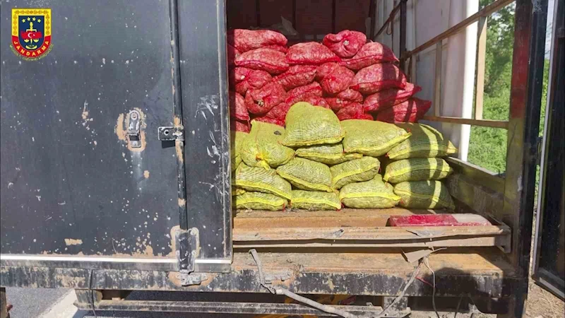 Sakarya’da midye vurgunu: Resmi evraksız 5 ton midyeye el kondu
