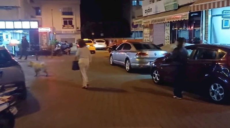 Muğla Valiliği: 