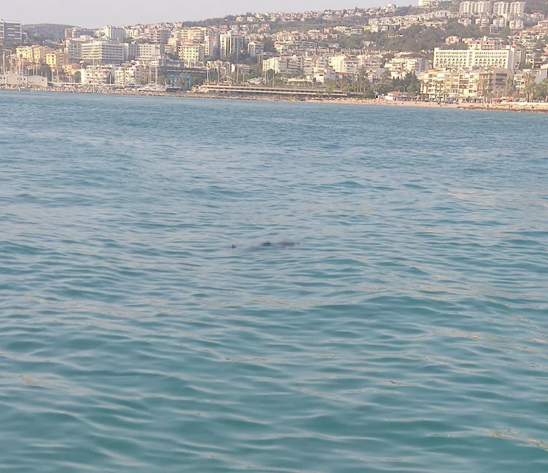 Kuşadası’nda denizde ceset bulundu
