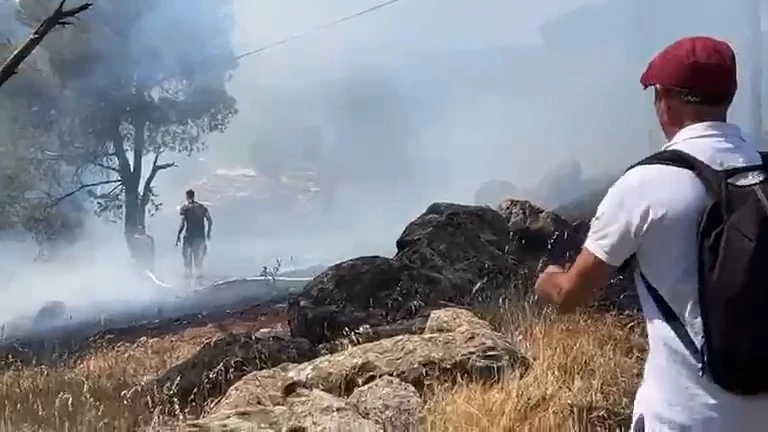 Ayvalık’ta orman yangını
