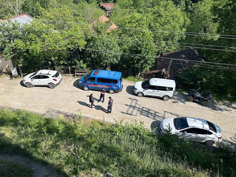 Karabük’teki köpek ölümleriyle ilgili inceleme başlatıldı

