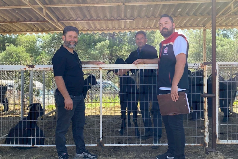 Karacasu’da kurban satış yerleri denetlendi
